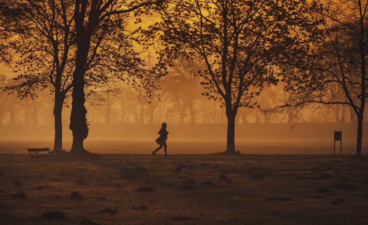 A person jogging in silhouette during sunrise on a foggy morning in a serene park setting.