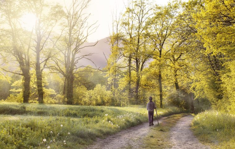 Why Time in Nature Is Quietly Good for You