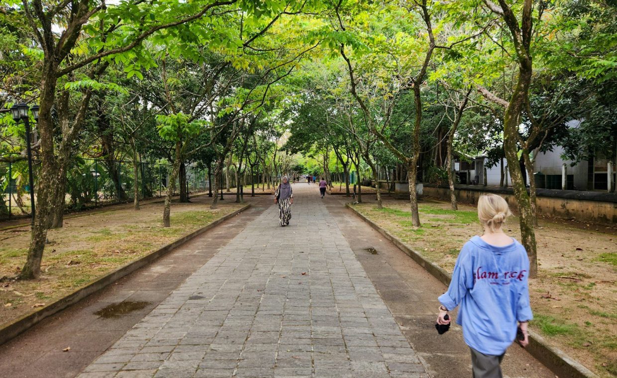 A woman walking down a sidewalk in a park