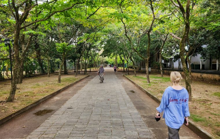 Why Walking Might Be the Most Underrated Workout